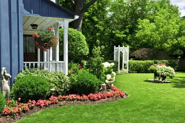 Backyard Landscaping