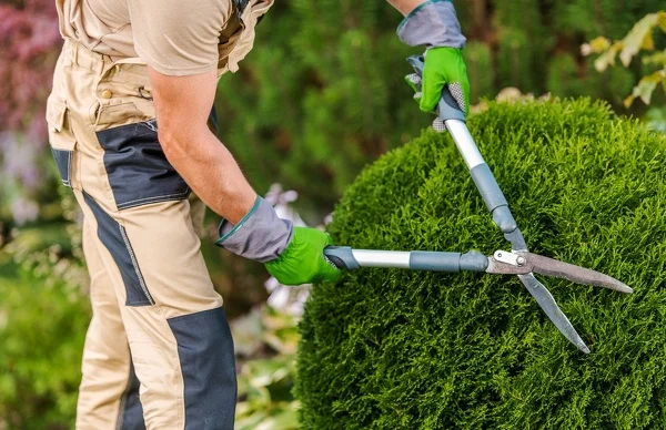 Binzha Landscaping LLC's Other Services