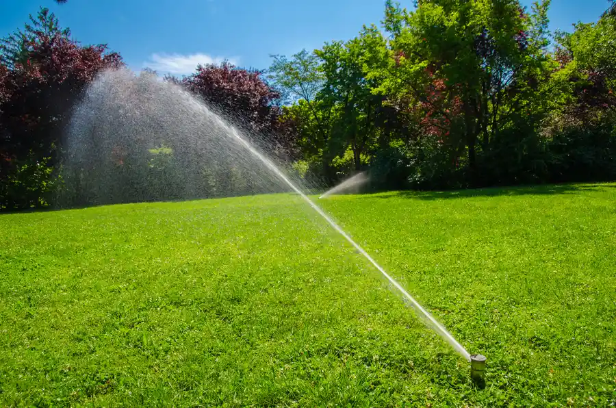 How Irrigation Installation Reduces Water Waste In Your Yard in Georgetown SC How Irrigation Installation Reduces Water Waste In Your Yard in Georgetown SC