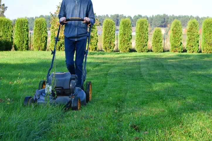 How Regular Mowing Improves Your Lawns Overall Health Georgetown SC How Regular Mowing Improves Your Lawns Overall Health Georgetown SC