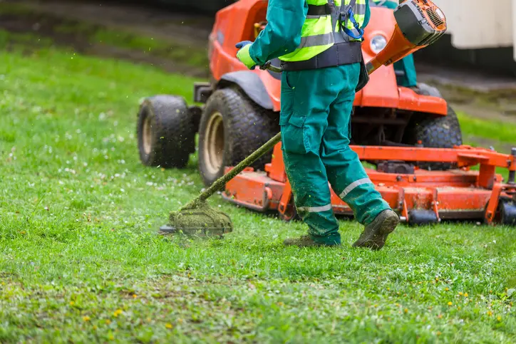 How Regular Mowing Improves Your Lawns Overall Health in Georgetown SC How Regular Mowing Improves Your Lawns Overall Health in Georgetown SC