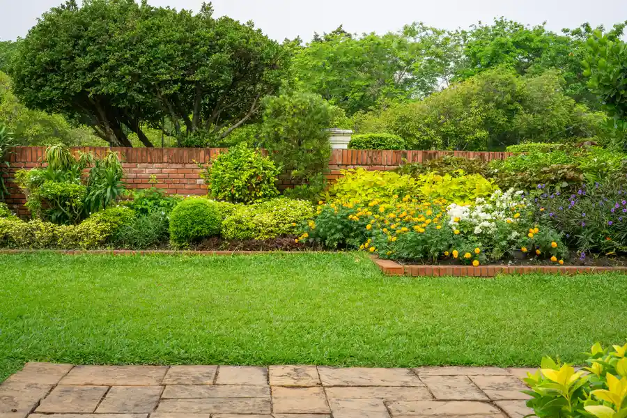 Maximizing Space In Small Backyard Landscaping Projects Georgetown SC