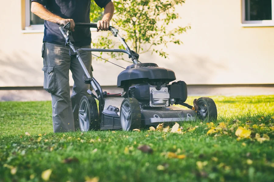 The Benefits Of Hiring Professionals For Lawn Mowing Georgetown SC The Benefits Of Hiring Professionals For Lawn Mowing Georgetown SC