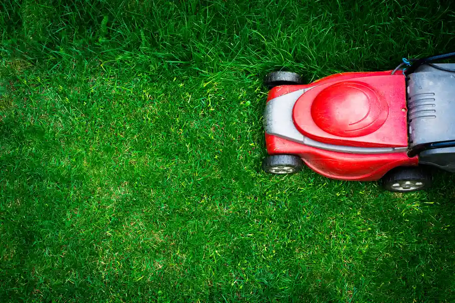 The Benefits Of Hiring Professionals For Lawn Mowing in Georgetown SC The Benefits Of Hiring Professionals For Lawn Mowing in Georgetown SC
