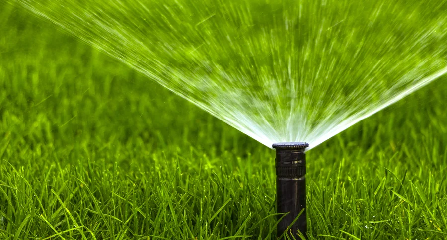 Why Professional Irrigation Installation Saves Time And Money Georgetown SC Why Professional Irrigation Installation Saves Time And Money Georgetown SC
