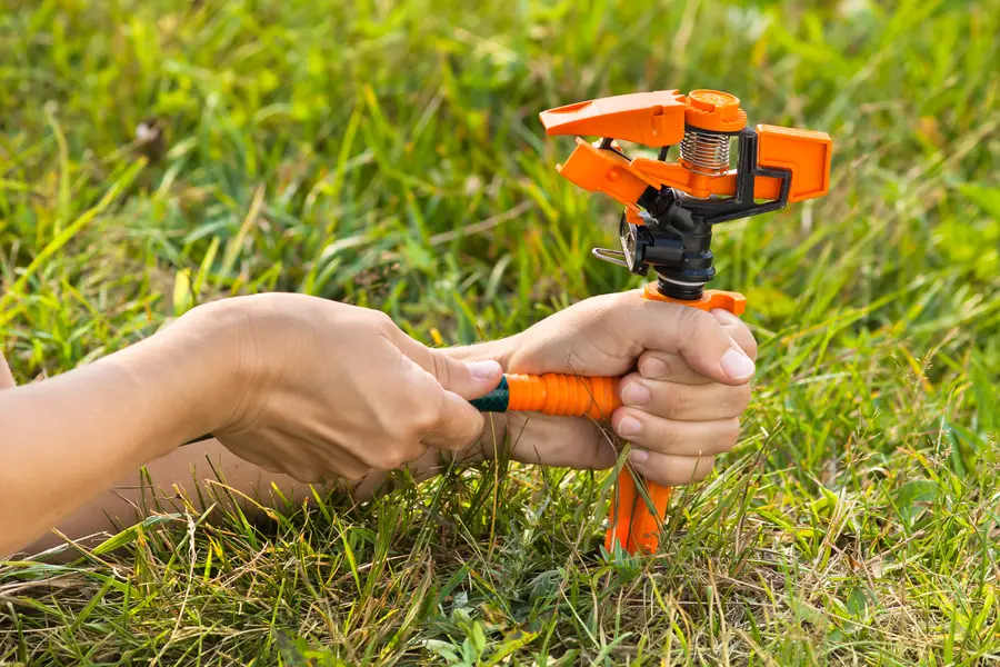 Why Professional Irrigation Installation Saves Time And Money in Georgetown SC Why Professional Irrigation Installation Saves Time And Money in Georgetown SC